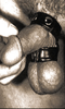 Pour plus d\'infos sur "Cockring Cuir Double (normal)", cliquez ici !
