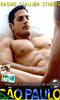 Pour plus d'infos sur "Collin O'Neil Sao Paulo - DVD Raging Stallion", cliquez ici !
