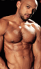 Pour plus d'infos sur "Studs! - DVD BullDog", cliquez ici !