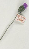 Pour plus d'infos sur "Rose string (fun)", cliquez ici !