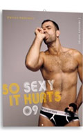 Calendrier Gay so sexy it hurts 2009