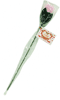 Pour plus d'infos sur "Rose string (fun)", cliquez ici !