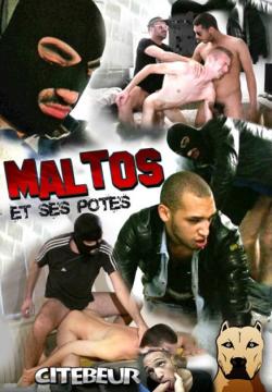 Maltos et ses Potes - DVD Citebeur
