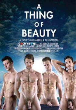 A Thing Of Beauty - DVD Cocky Boys