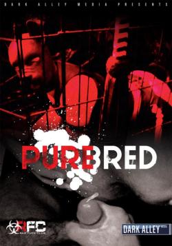 Pure Bred - DVD Dark Alley