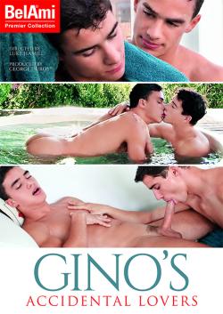 Ginos Accidental Lovers - DVD Bel ami