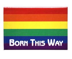 Magnet Rainbow Flag ''Born This Way''