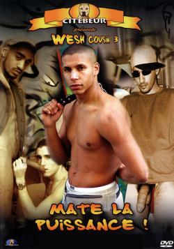 Mate la Puissance - Wesh Cousin 3 - DVD Citebeur