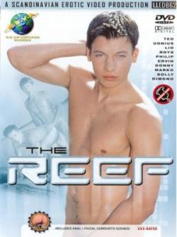 The Reef - DVD SEVP
