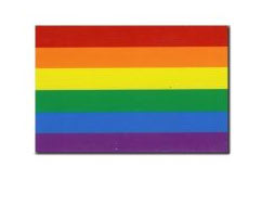 Magnet Rainbow Flag