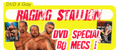 Cliquez ici pour voir tous les DVD Gay Raging Stallion!