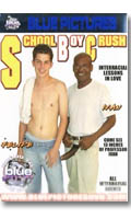 School boy crush - DVD Blue Pictures