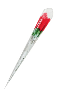 Rose string (fun) - Rouge - Taille unique