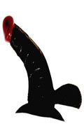Gode AfroAmericain Anthony 8''
