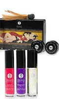 Shunga - Kit Plaisirs Charnels