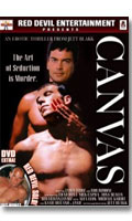 Canvas - DVD Channel 1