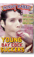 Cliquez pour voir la fiche produit- Young Gay Cock Suckers - DVD Bad Boys