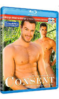 Cliquez pour voir la fiche produit- Consent - Blu-Ray + DVD Titan Media