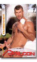 Cliquez pour voir la fiche produit- Fahrenheit - DVD Falcon