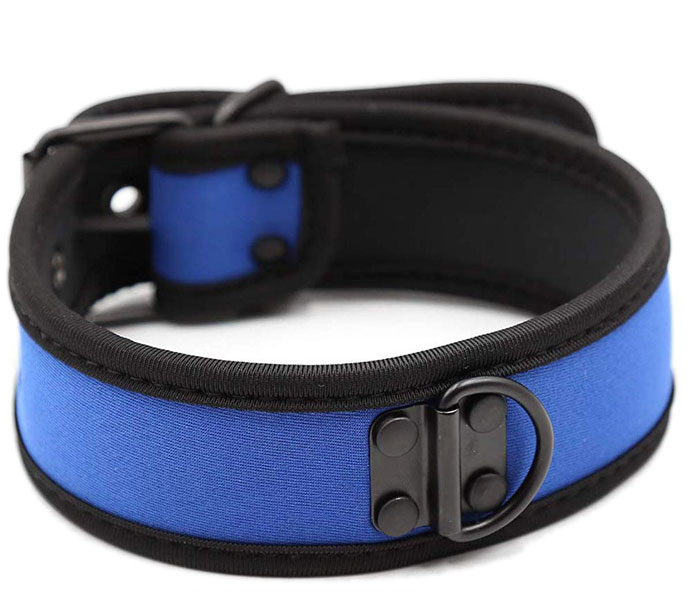 image extraite collier pupplay neoprene bleu