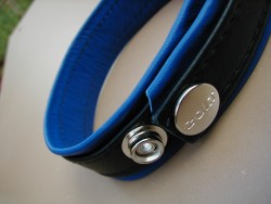 image extraite biceps force cuir jaune