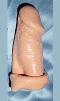 Prolongateur Pnis