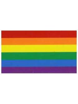 Auto-Collants Rainbow 10x7