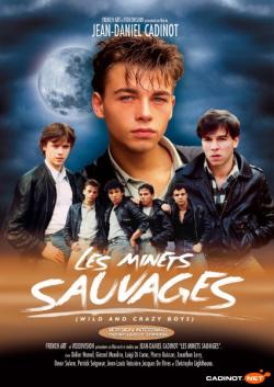 Les Minets Sauvages - DVD Cadinot