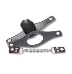 Gag Interchangeable Mask