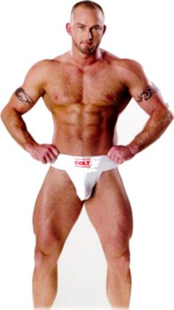 Jock Strap COLT - Blanc - Taille M