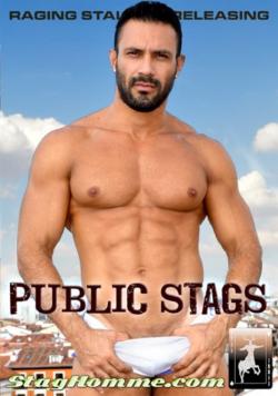 Public Stags - DVD Raging Stallion