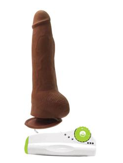 Gode ''The Doctor'' - Marron Vibrant  - Average Joe