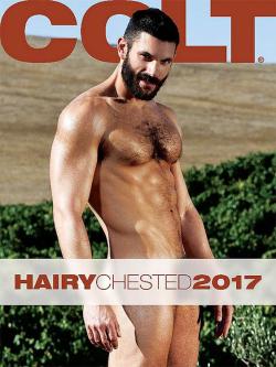 Colt Hairy Chested Men - Calendrier 2017