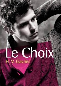 Le Choix - Roman Textes gais