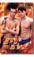 Guys in heat - DVD Avenger