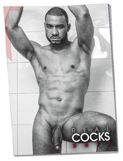 Real Cocks - Calendrier 2017