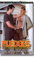 Pledges - DVD Studio 2000
