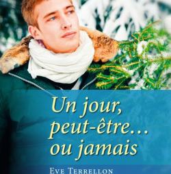 Un jour, peut-�tre jamais - Roman Textes Gais <span style=color:red;>[Out of stock]</span>