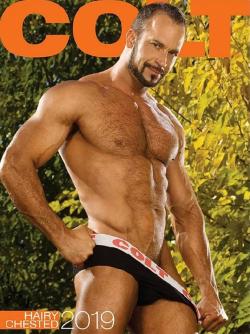 Colt Hairy Chested Men 2019 - Calendrier