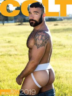 Colt Butt Beautifull - Calendar 2019