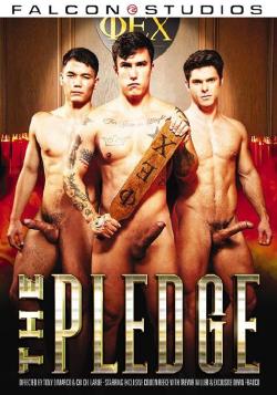 The Pledge - DVD Falcon (Bareback)
