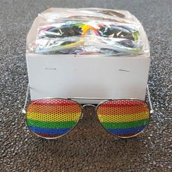 Lunettes Rainbow ''Grille Metal''