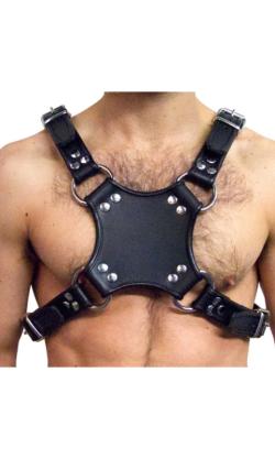 Mister B Leather Walking Harness Black-Black - Size L/XL