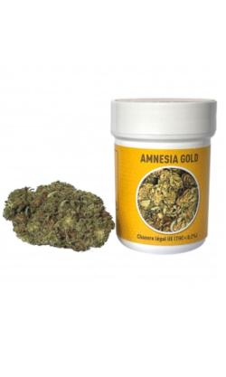 Fleurs de CBD ''Amnesia Gold'' (Energie) - FunLine - 4 g