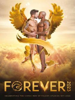 Forever Falcon 2023 Calendar XL