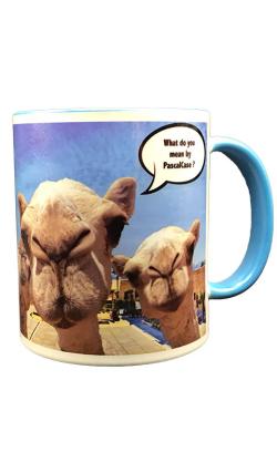 Mug Camel or Pascal case ?