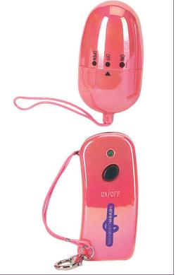 Oeuf vibrant sans fil