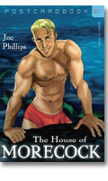 Postcard Book 67 The House of Morecock, par Joe Phillips