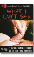 What I can't see - DVD Treasure Island