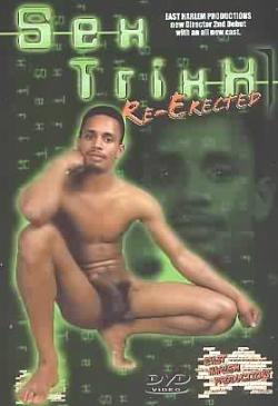 Sex Trixx : Re-Erected - DVD Black East Harlem